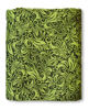 Obrázek Šátek Flora Lime green Lenire
