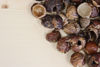 Obrázek Mýdlové ořechy Tierra Verde