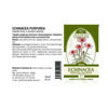 Obrázek Echinacea T7 - tinktura z byliny 50 ml